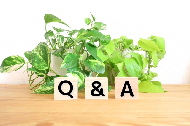 Q＆A（FAQ）